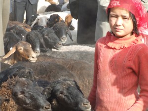 DSCF2402 China. Kashgar. Mercado de animales de los domingos