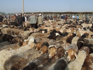 DSCF2417 China. Kashgar. Mercado de animales de los domingos